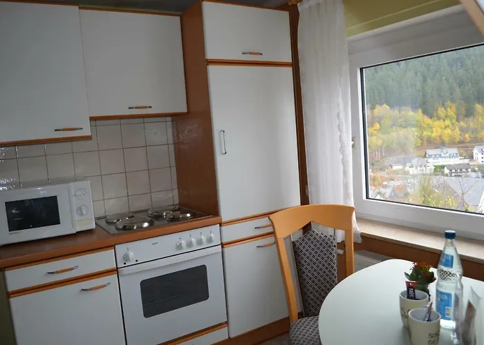 Gasthuis Pause Willingen (Upland)